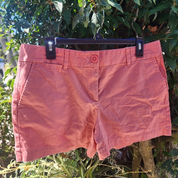 LOFT Pants - NWT Loft Chino Shorts